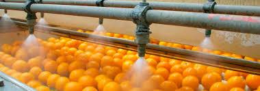Ozono para Frutas lavado desinfeccion
