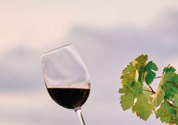 Ozono en Bodejas limpieza y sabor